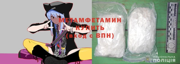 прущие грибы Магас