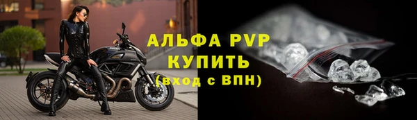 прущие грибы Магас