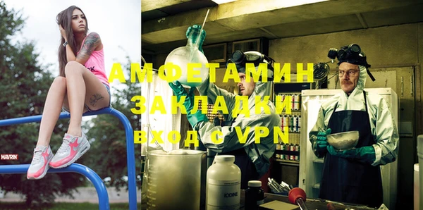 прущие грибы Магас