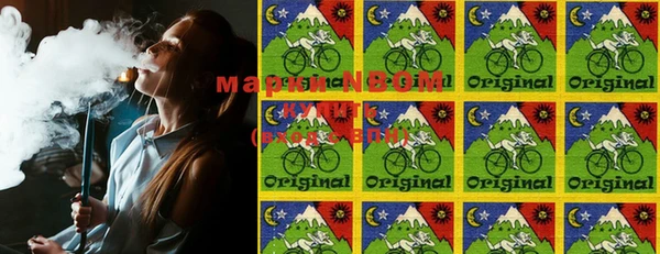 прущие грибы Магас