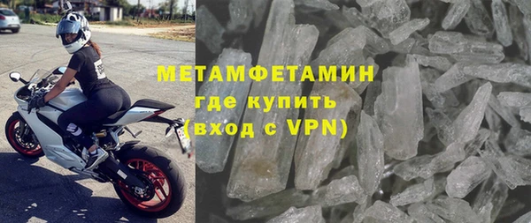 прущие грибы Магас