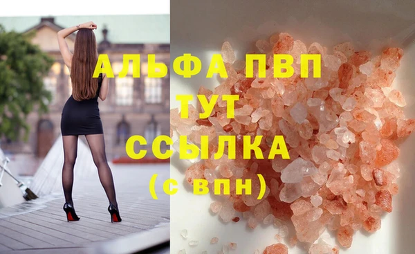 индика Магадан