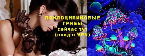 индика Магадан