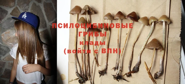 индика Магадан