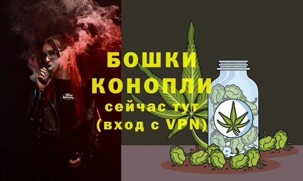 прущие грибы Магас