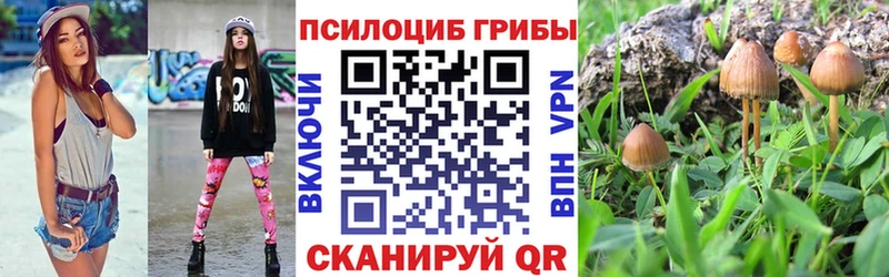 Купить где  Котовск  Псилоцибиновые грибы Cubensis 